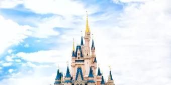 The 4 Best Walt Disney World Surprise Reveal Ideas The 4 Best Walt Disney World Surprise Reveal Ideas