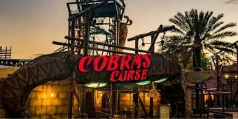 Cobra's Curse has Been Unleashed at Busch Gardens! Cobra's Curse has Been Unleashed at Busch Gardens!