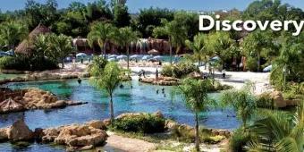 Discovery Cove	
