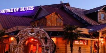 What's On - Weekly Events