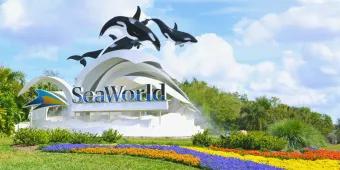 Die fünf besten Restaurants in SeaWorld Orlando