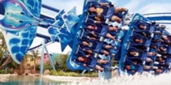 Combination Tickets Combination Tickets