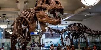 The Best Educational Attractions in New York The Best Educational Attractions in New York
