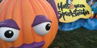 Süßigkeiten und Partyspaß bei Seaworld’s Halloween Spooktacular