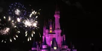 Jahresrückblick 2013: Walt Disney World Florida