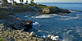 Was gibt’s in San Diego zu entdecken? Was gibt’s in San Diego zu entdecken?
