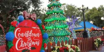 Ihr ultimativer Weihnachtsguide im LEGOLAND Florida