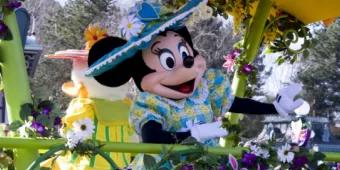 Swing Into Spring Swing Into Spring