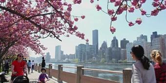 New York im April New York im April