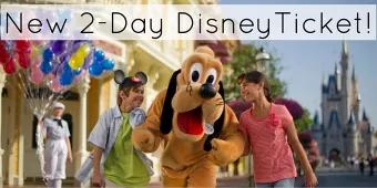 New 2 Day Disney Ticket