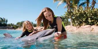 Discovery Cove: Der wahrscheinlich beste Park der Welt