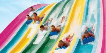 Top 5 Water Slides at Aquatica