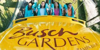 Top Tips for Visiting Busch Gardens