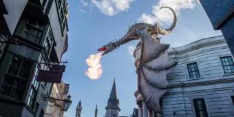 5 Diagon Alley Shops You Need to Visit 5 Diagon Alley Shops You Need to Visit