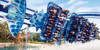 5 Rides You Can’t Miss at SeaWorld Orlando 