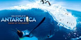 Jahresrückblick 2013: SeaWorld Parks & Entertainment Jahresrückblick 2013: SeaWorld Parks & Entertainment