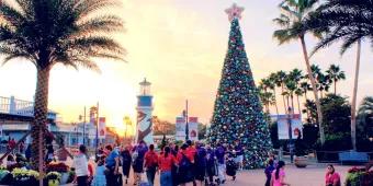 Bevorstehende SeaWorld Orlando Events, auf die man sich freuen darf Bevorstehende SeaWorld Orlando Events, auf die man sich freuen darf