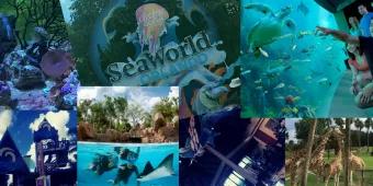 Aufregende Zeit in den SeaWorld Parks 