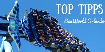 Die Top Tipps für den perfekten Tag in SeaWorld Orlando