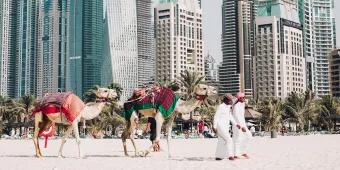 When’s the Best Time to Visit Dubai? When’s the Best Time to Visit Dubai?