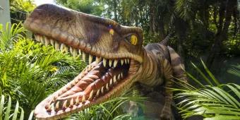 Raptor Encounter Lands At Universal's Islands of Adventure!