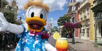 Donald Duck at Disneyland Paris