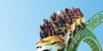 Cheetah Hunt Cheetah Hunt