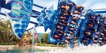 Manta at SeaWorld Orlando