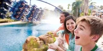 Boy watching guests riding Manta rollercoaster at SeaWorld Orlando