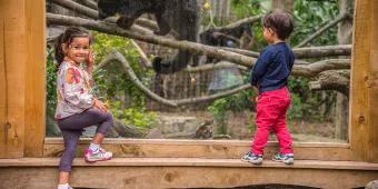Two children standing in front of an animal enclosure at Chessington Zoo