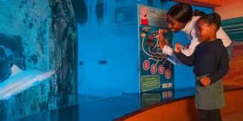 A mother and child wave to fish in a tank at SEA LIFE London