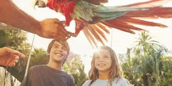 Two children being shown a brightly coloured parrot 