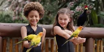 Explorer's Aviary at Discovery Cove Two children in wetsuits holding multicoloured birds on their outstretched hands