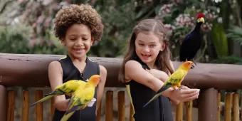 Two children in wetsuits holding multicoloured birds on their outstretched hands