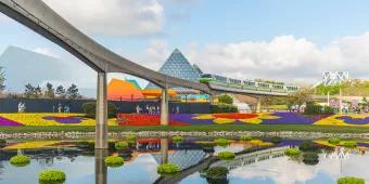 A monorail on a track above a lake with multi-coloured flowers along the bank and floating in the water