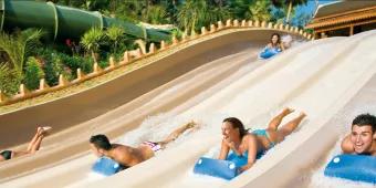 Naga Racer im Siam Park Naga Racer im Siam Park