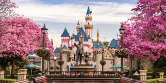 A pathway lined with pink-flowered trees leading to a statue of Walt Disney and Mickey Mouse in front of Sleeping Beauty Castle