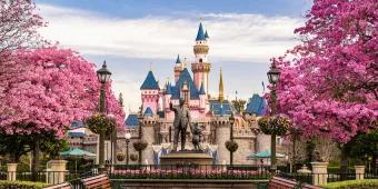 A pathway lined with pink flowered trees leading to a statue of Walt Disney and Mickey Mouse in front of Sleeping Beauty Castle