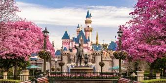 Disneyland Resort in California A pathway lined with pink flowered trees leading to a statue of Walt Disney and Mickey Mouse in front of Sleeping Beauty Castle