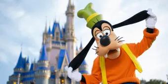 Goofy at Walt Disney World Resort in Florida Goofy (a large dog cartoon character which wears an orange jumper, blue and yellow dungarees and a green and yellow top hat) stood in front of the iconic pink and blue castle.