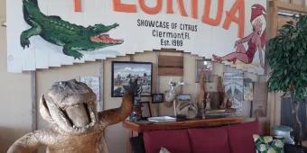 Florida huge welcome to florida sign on the wall with image of a gator on and below there is a statue of an alligator stood up smiling and waving. Next to the statue there is an old sofa with old images above.