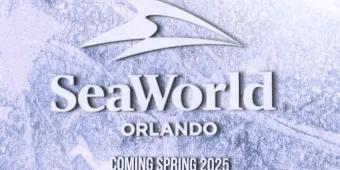 SeaWorld Orlando Arctic Flying Theatre Icy background with snow flowing. There is the SeaWorld Orlando logo which is white and has a dolphin fin inside a larger orca fin. Under it says "Coming spring 2025 - world's first-of-its-kind arctic flying theatre"