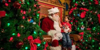 Christmas at Disney Springs Santa Claus sat on wooden throne with a child sat on his lap touching his white beard. There are many christmas trees on either side decorated in pretty green and red decorations including baubles and bows.