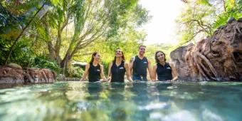 Guests at Discovery Cove Orlando