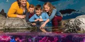 Mother with three kids in a aquarium with one kid pointing into a rock pool full of water and multicoloured underwater plants.