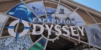 Circular sign which says "Expedition Odyssey" with images of different animals in the background including a beluga whale, humpback whale and more!