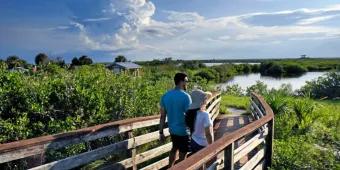 National park with wooden bridge leading out into water.