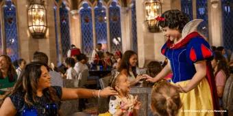 Character Dining at Cinderella's Royal Table