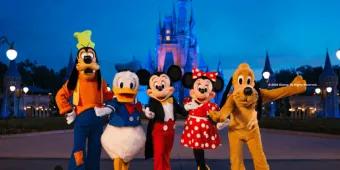 Characters at Cinderella Castle