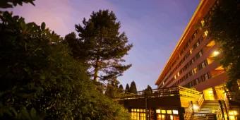 Disney Sequoia Lodge